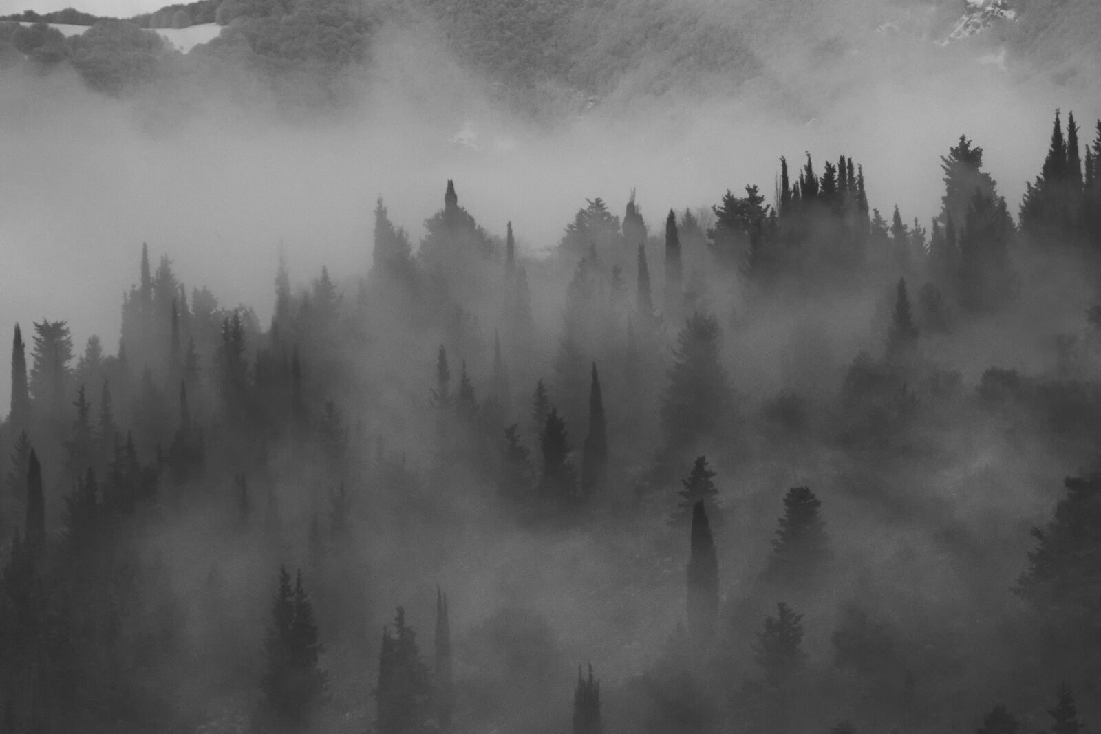 Nikon D7200 sample photo. Fog, foggy, hills photography