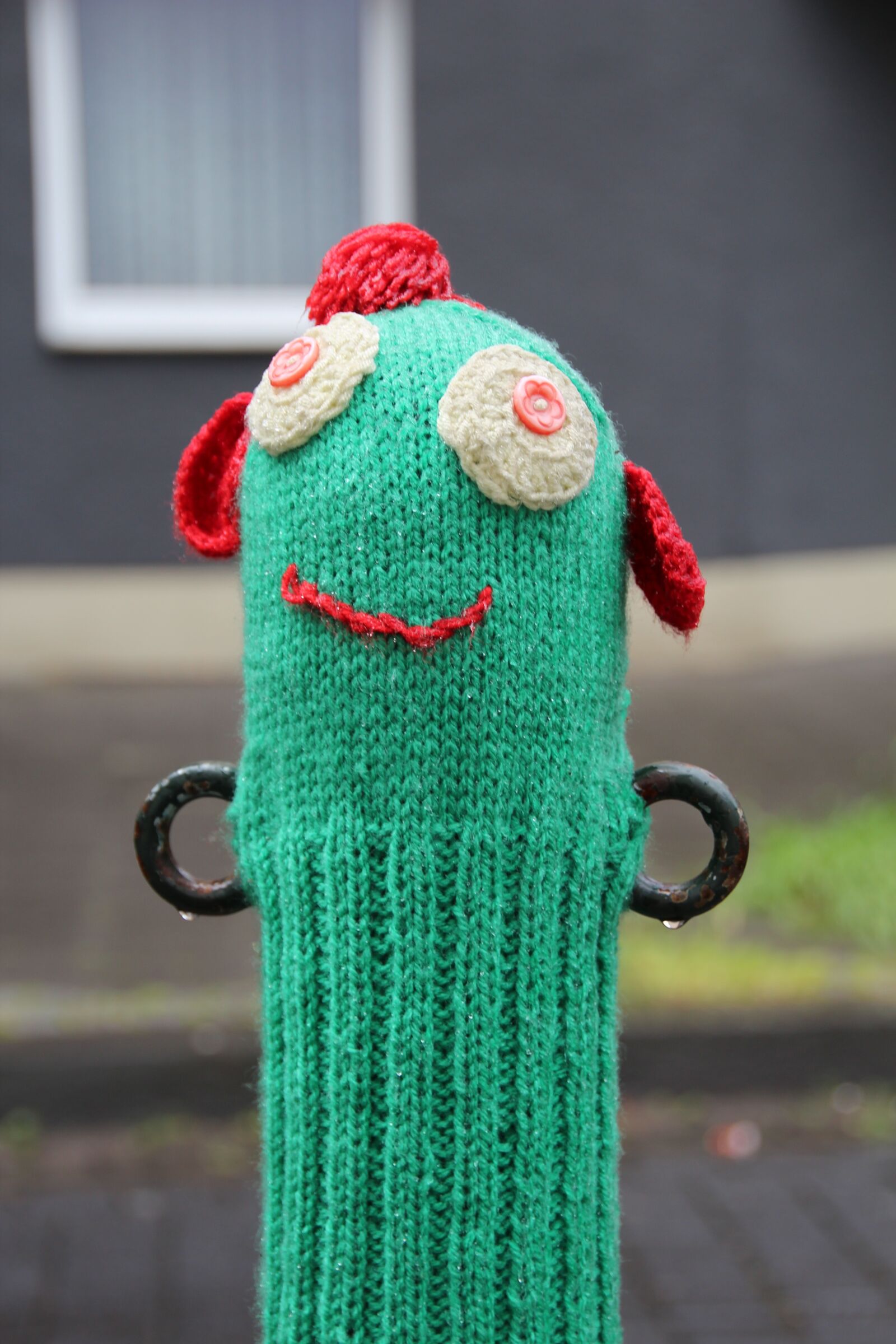 Canon EOS 600D (Rebel EOS T3i / EOS Kiss X5) sample photo. Sock, funny, coating photography