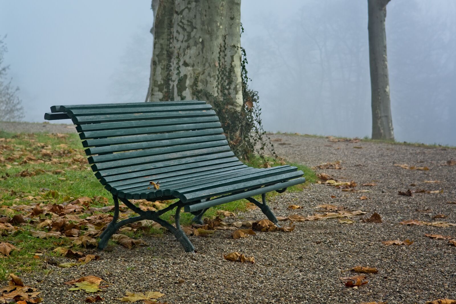 Nikon D7100 sample photo. Fog, foggy, bench photography