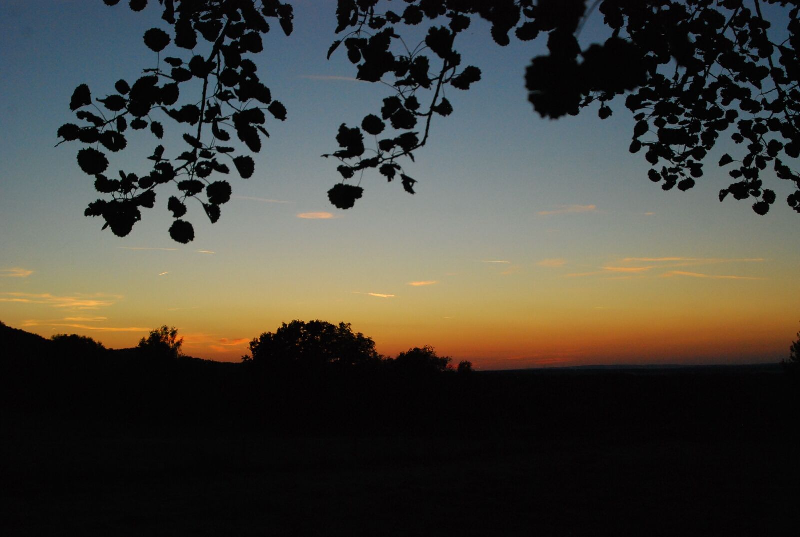 Nikon D80 sample photo. Sunset, sun, forest photography