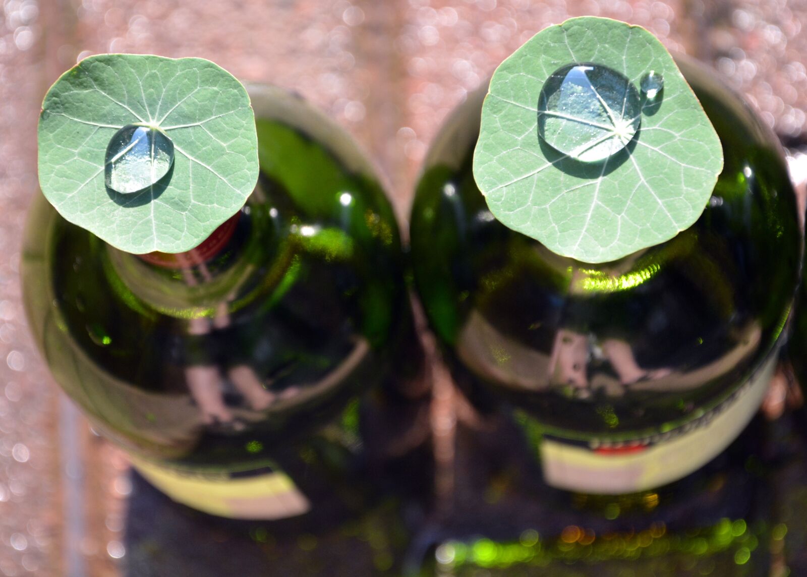 Nikon D5200 sample photo. Water drops, leaves, fresh photography