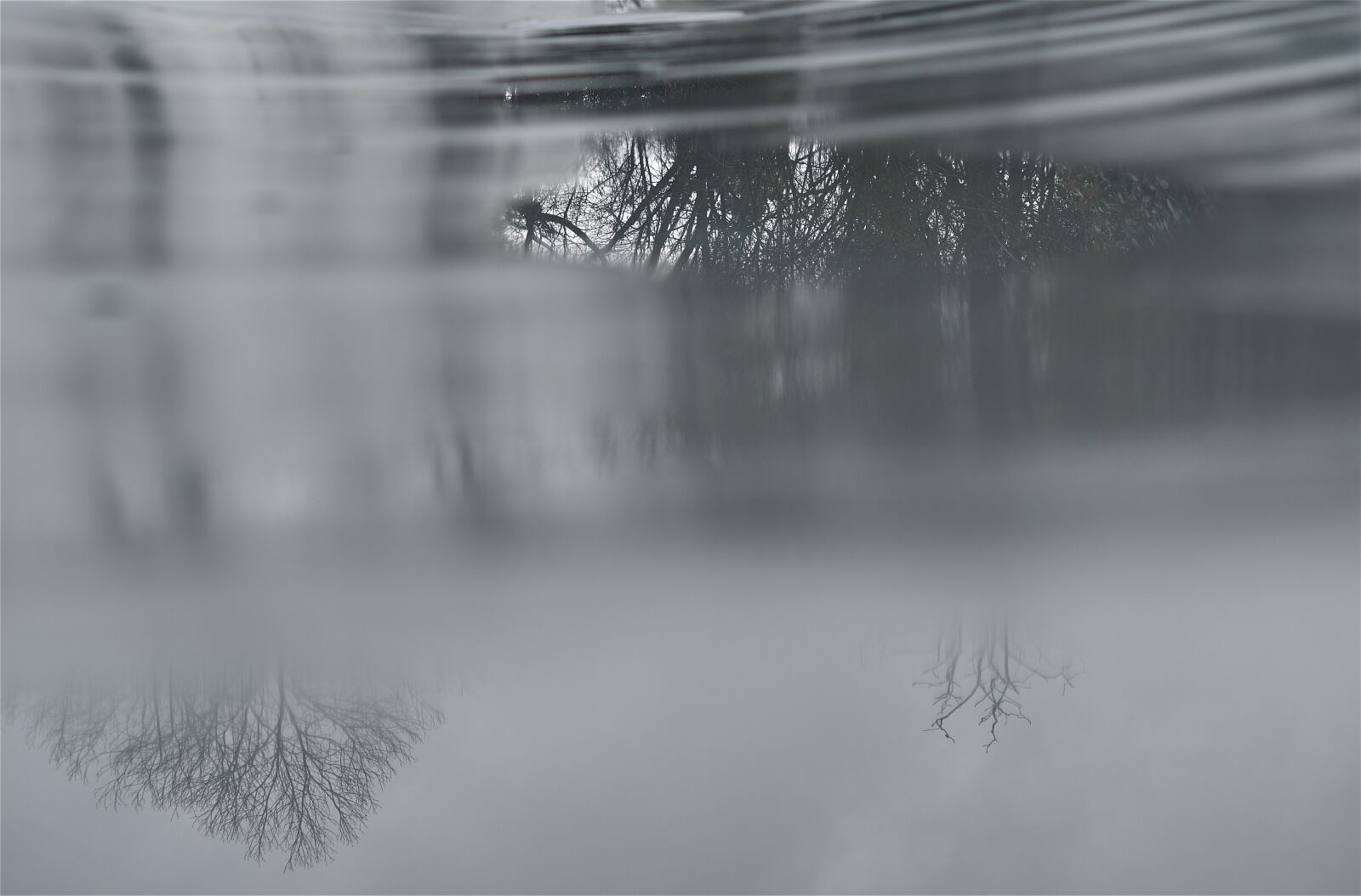 Nikon D5600 sample photo. Puddle, water, reflection photography