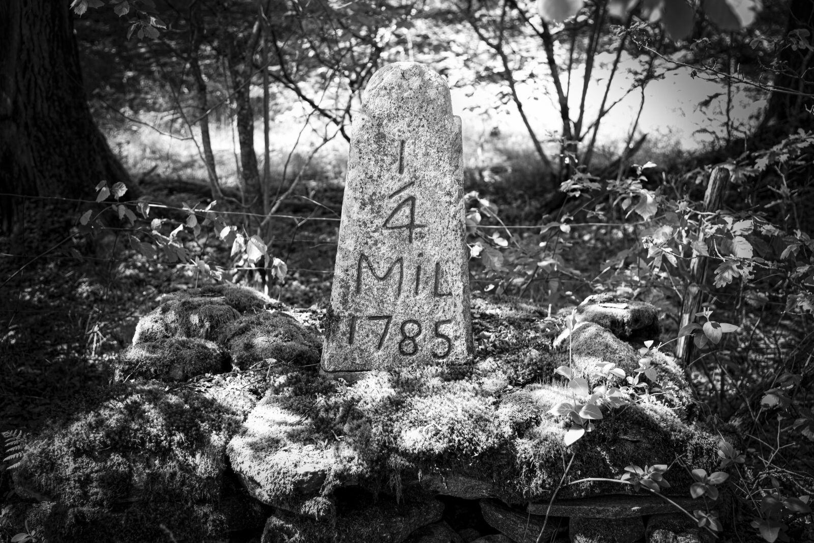 Nikon D750 sample photo. Milestone, antiquities, in the photography