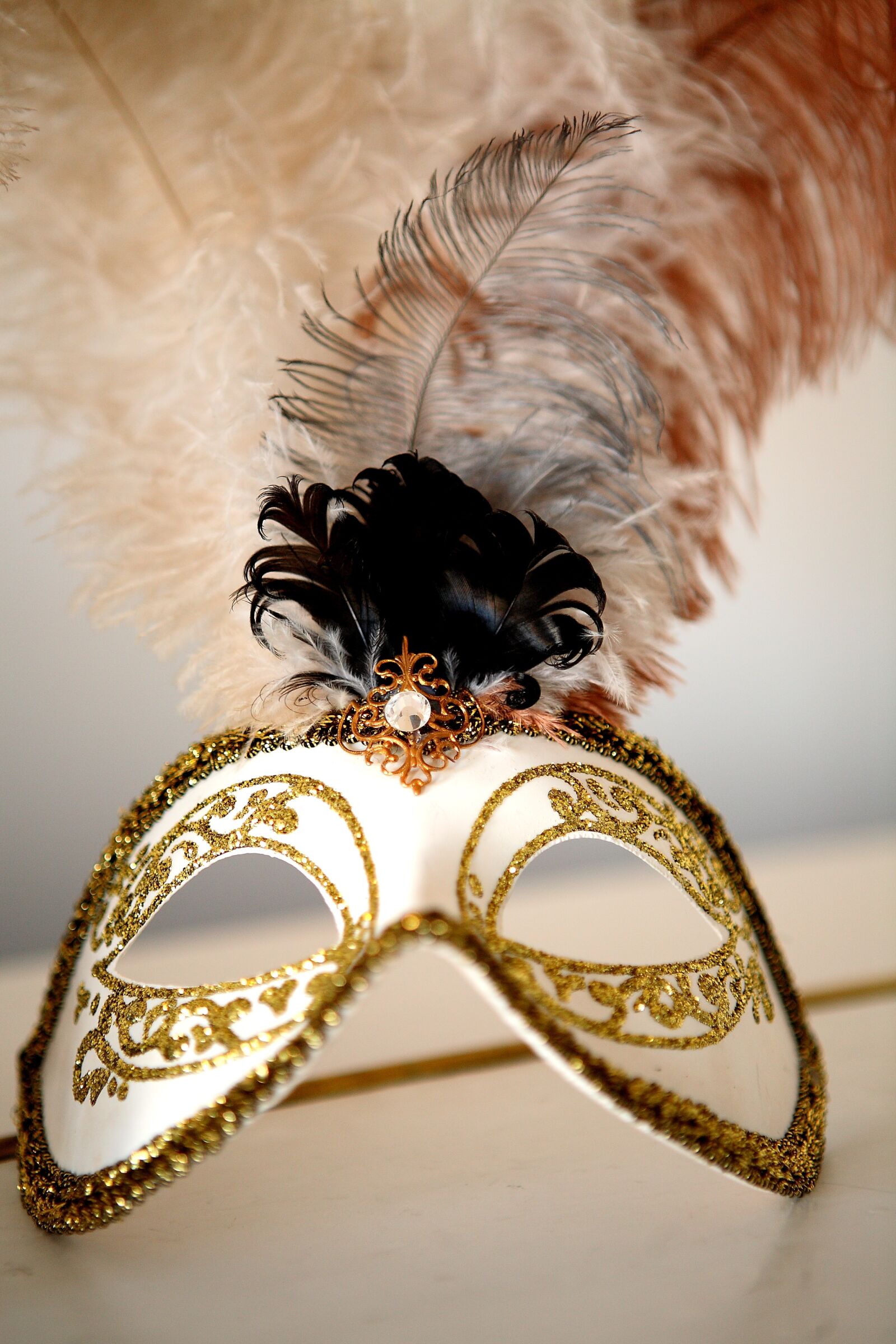 Canon EOS 5D sample photo. Mask, pen, fancy photography