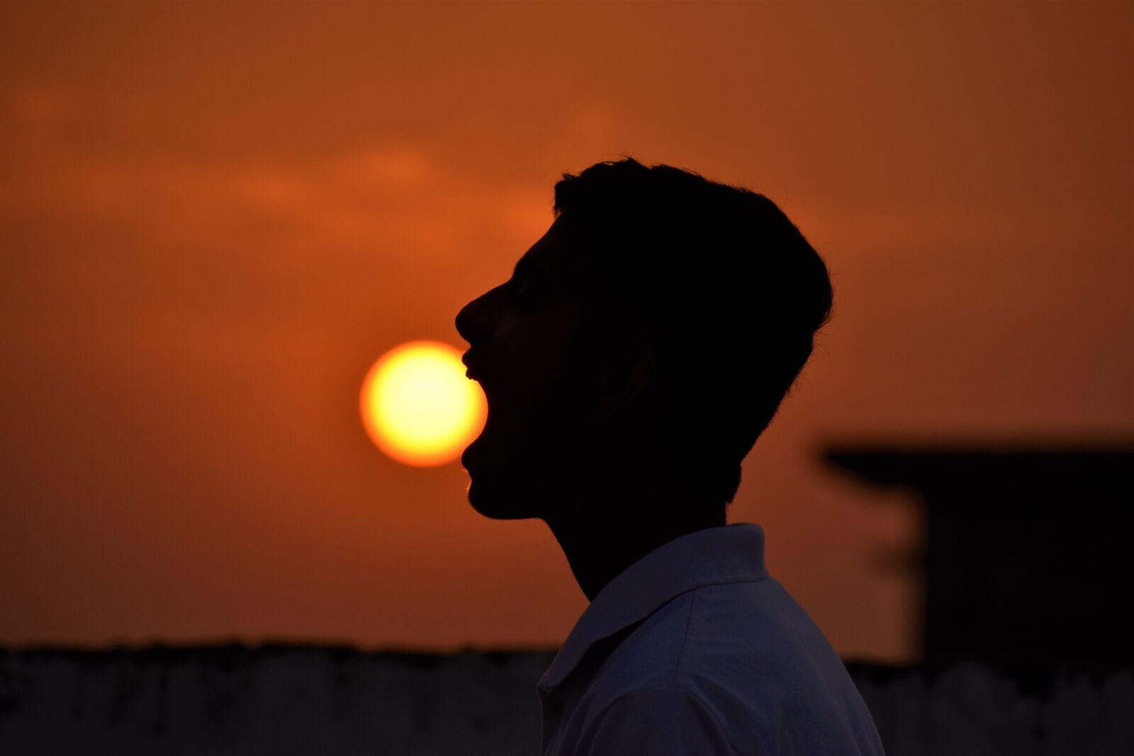 Nikon D5600 sample photo. Nature, sun, sunset photography