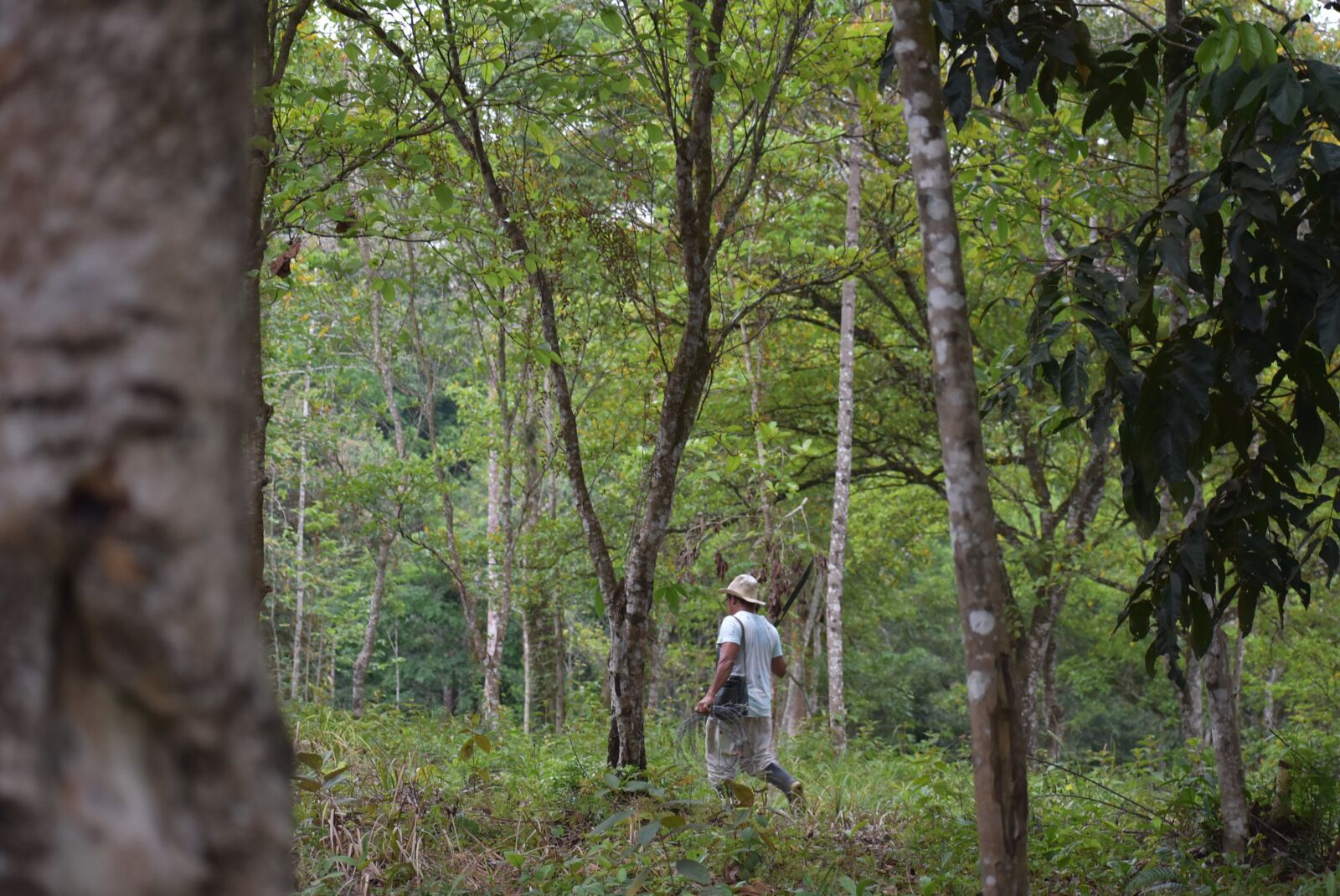 Nikon D3400 sample photo. Peasant, rural, field photography
