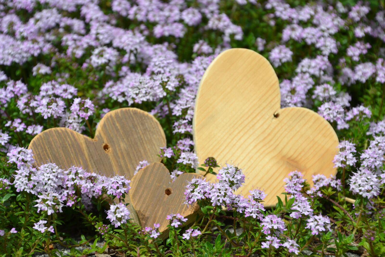 Nikon D3100 sample photo. Love, heart, mother's day photography