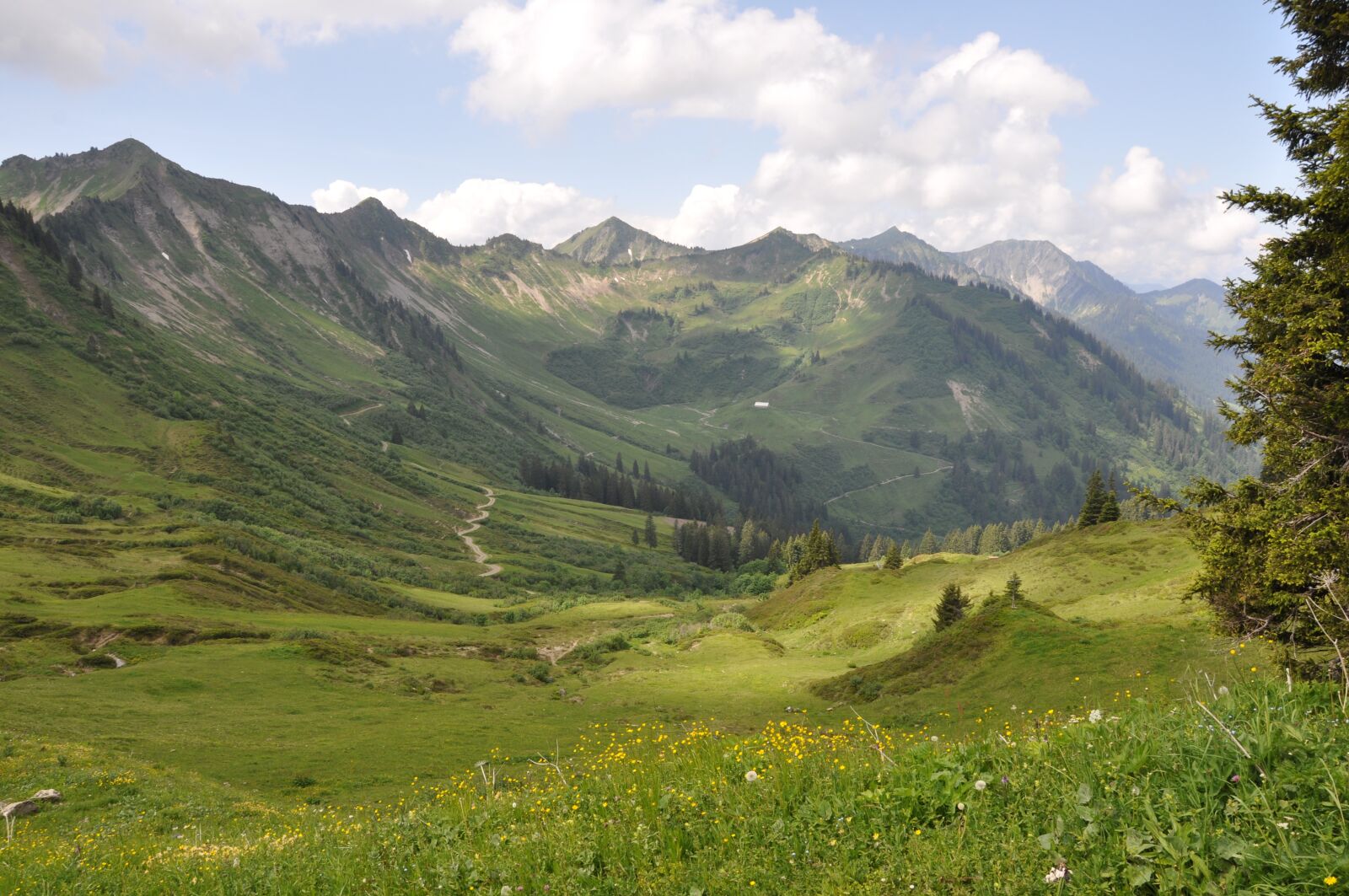 Nikon D90 sample photo. Mountains, meadow, h photography
