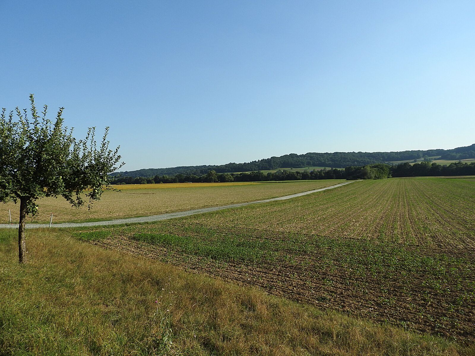 Nikon Coolpix P610 sample photo. Landscape, fields, arable photography