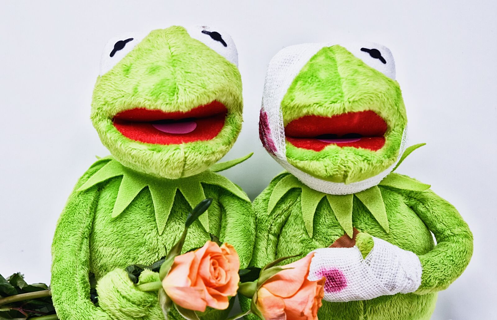 Nikon D7200 sample photo. Kermit, greetings, frog photography