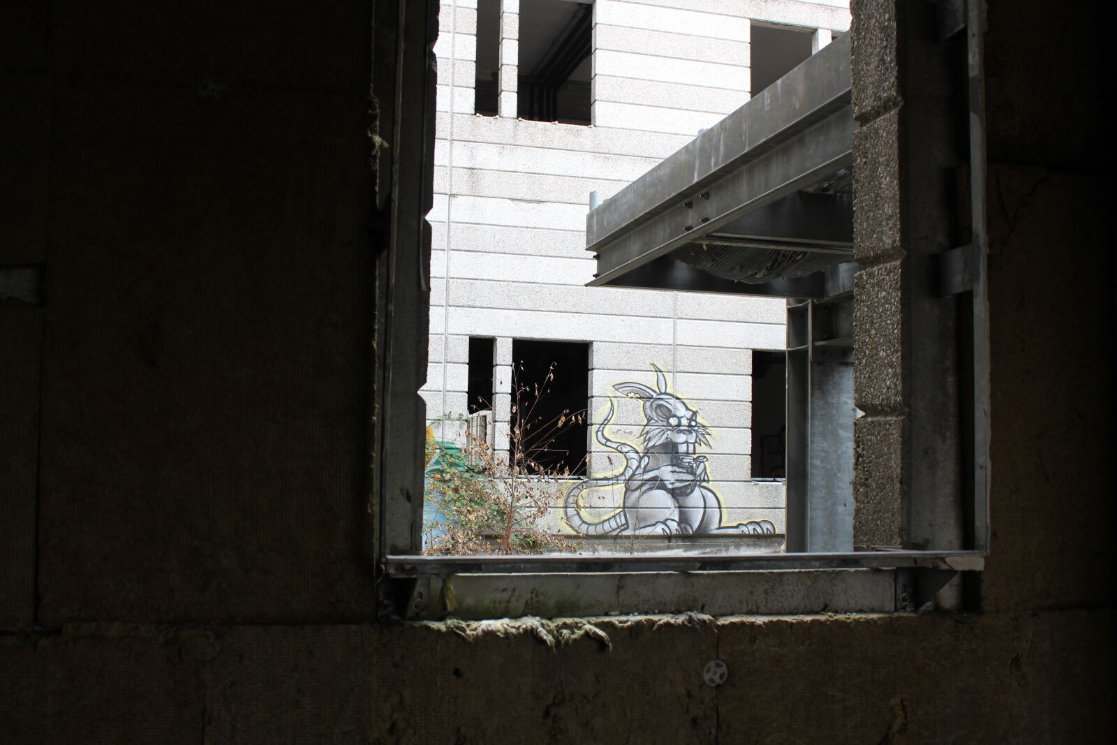 Canon EOS 1300D (EOS Rebel T6 / EOS Kiss X80) sample photo. Graffiti, rat, mouse photography