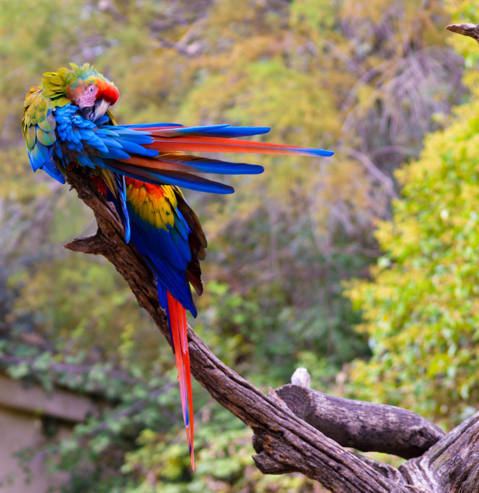 Nikon D3200 sample photo. Bird, nature, fauna photography