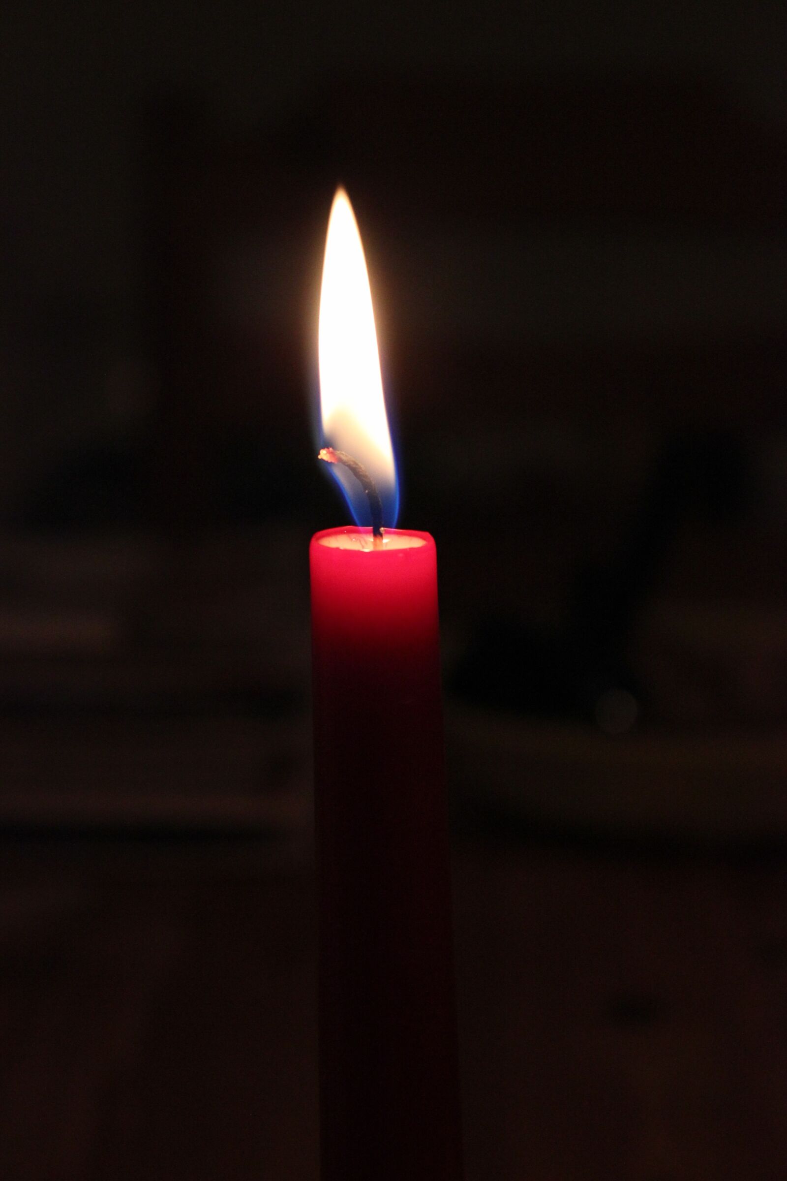 Canon EOS 550D (EOS Rebel T2i / EOS Kiss X4) sample photo. Candle, light, flame photography