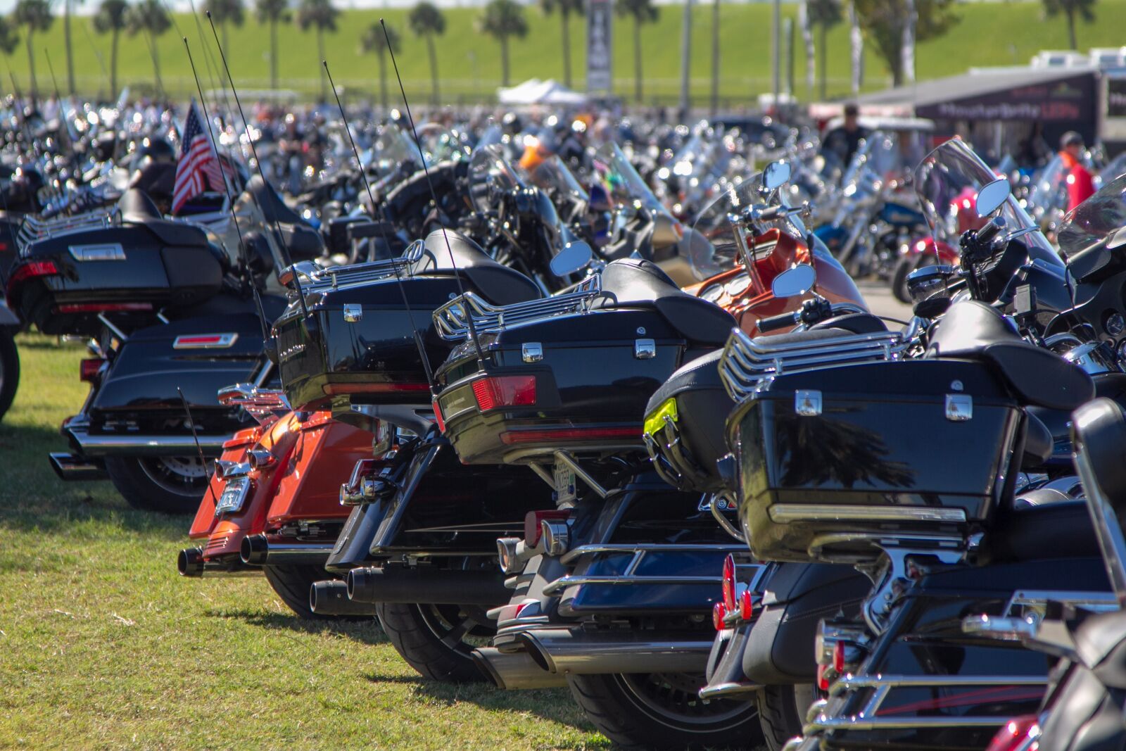Canon EOS 60D sample photo. Bike, daytona beach, motorcycle photography