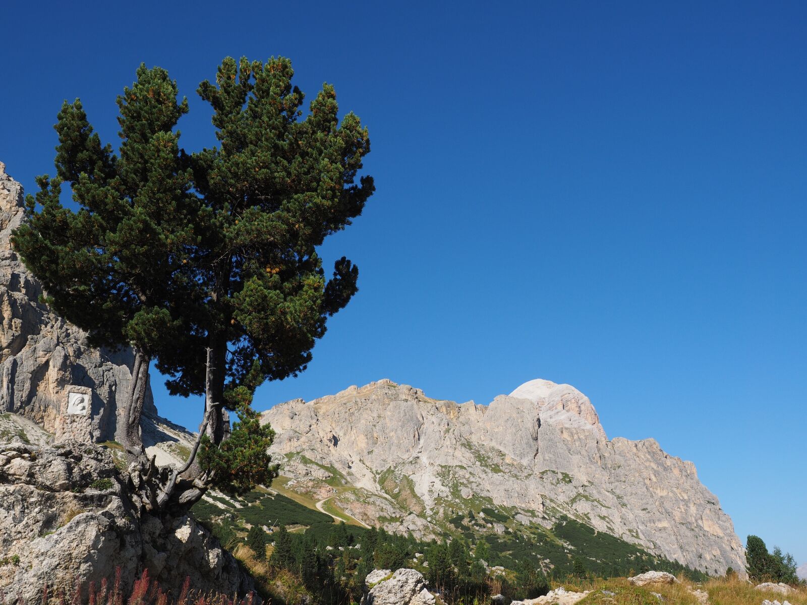 Olympus OM-D E-M1 + Olympus M.Zuiko Digital ED 12-40mm F2.8 Pro sample photo. Passo falzarego, tofana de photography