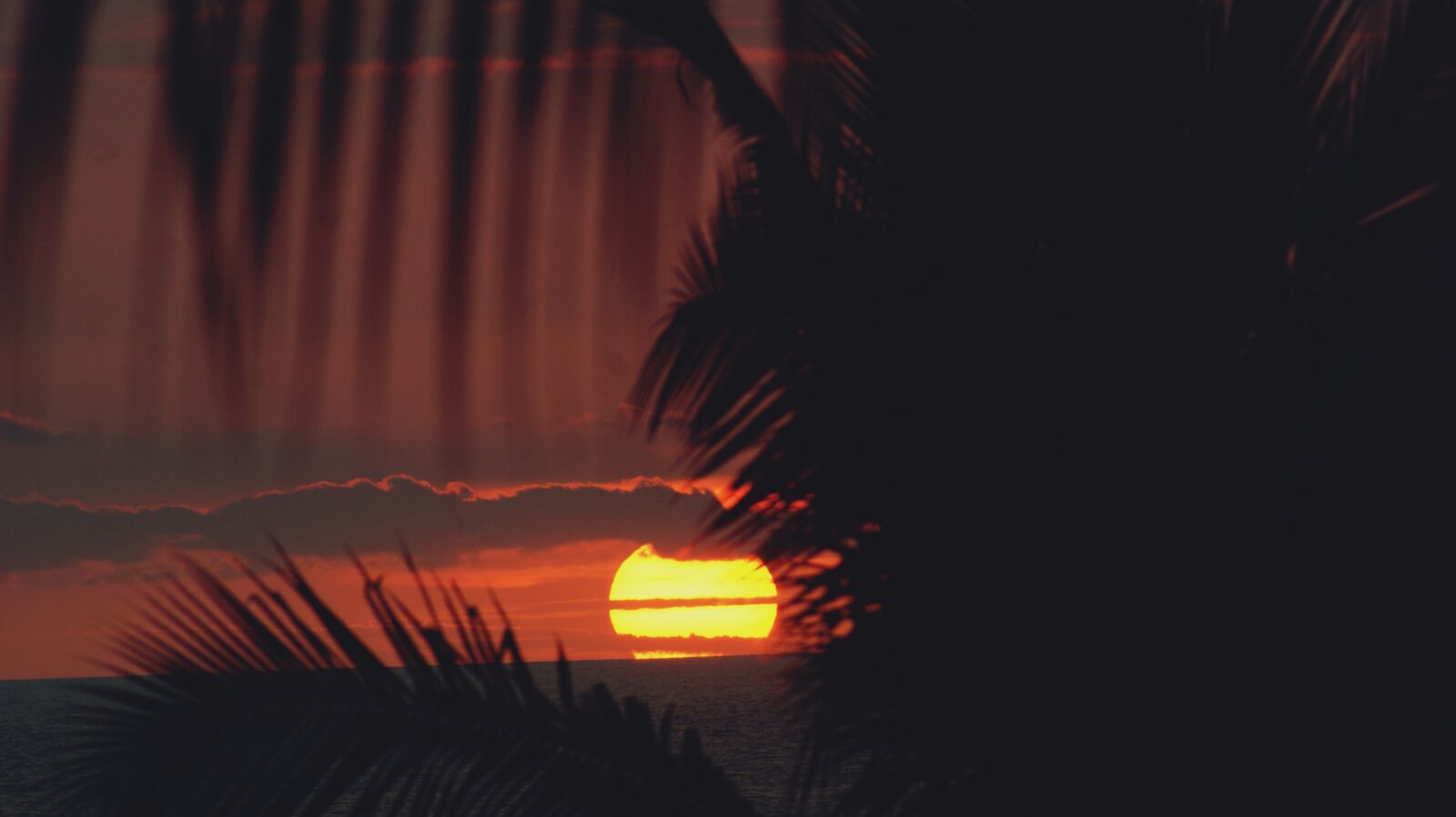 Sony Alpha DSLR-A350 sample photo. Sunset, kona, hawaii photography
