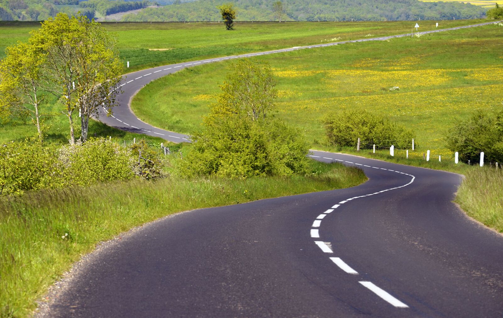 Nikon D5100 sample photo. Road, countryside, curves photography