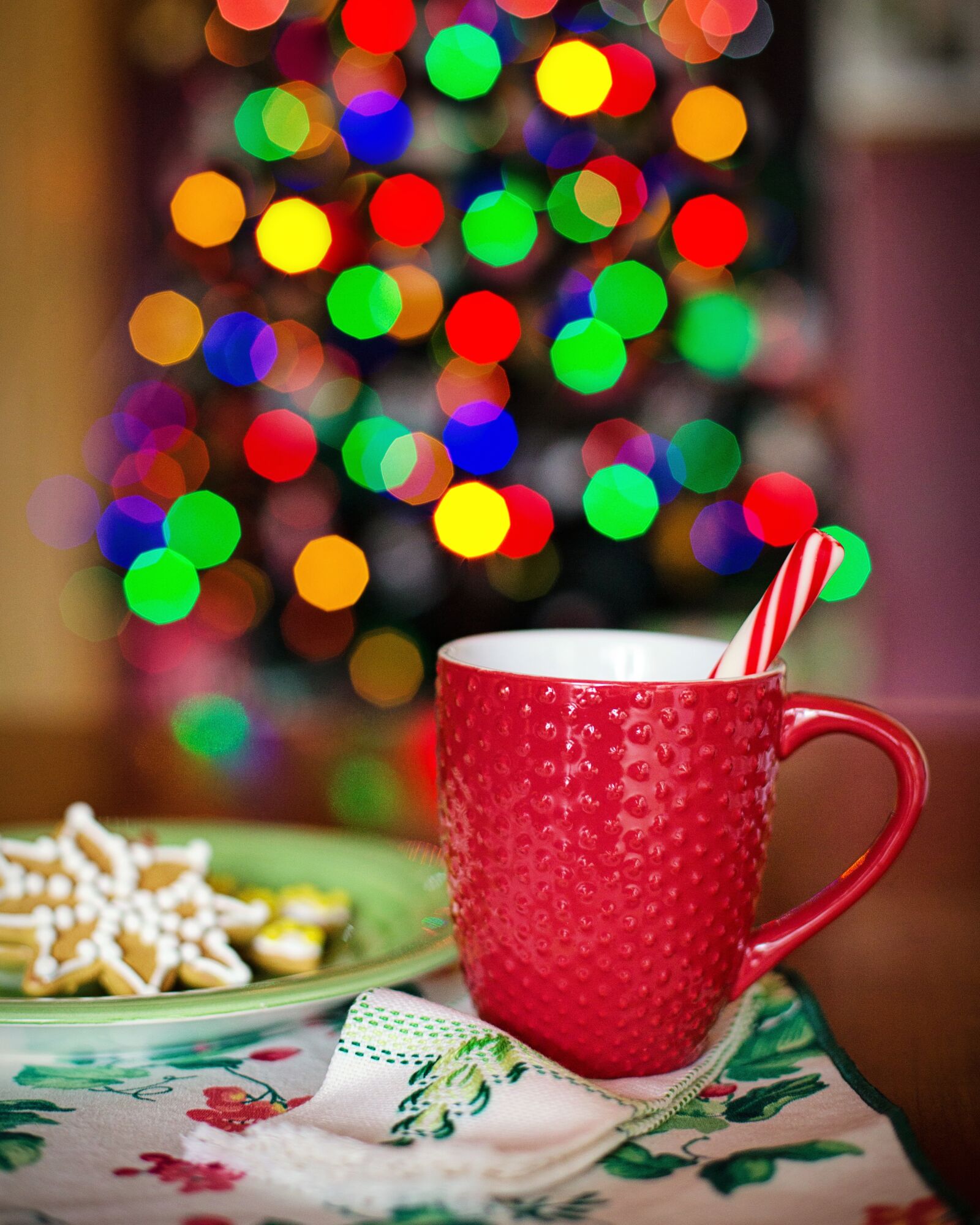Canon EF 50mm F1.4 USM sample photo. Hot chocolate, christmas, christmas photography