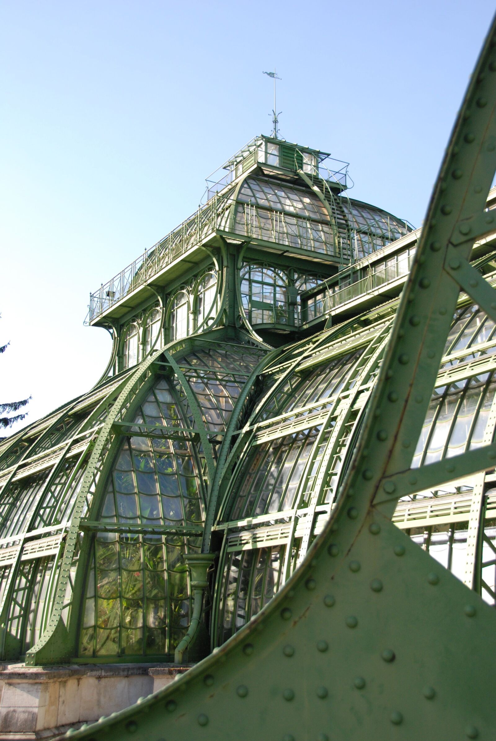 Nikon D80 sample photo. Sch nbrunn, palm house photography