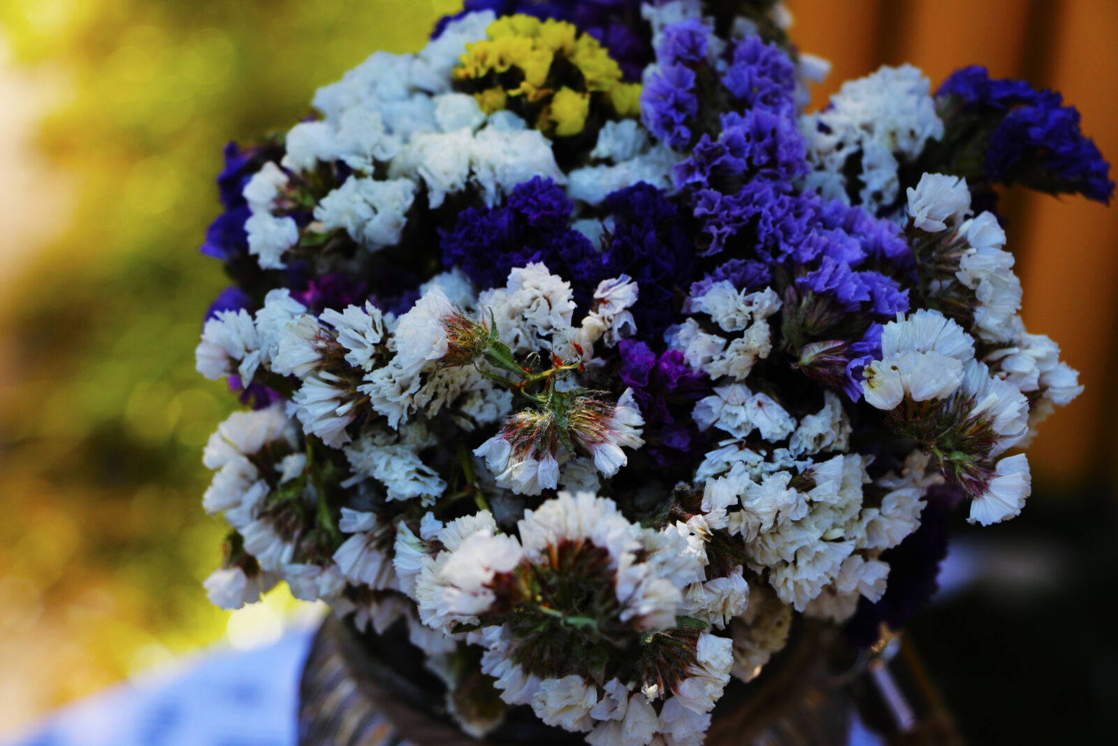 Canon EOS 700D (EOS Rebel T5i / EOS Kiss X7i) sample photo. Close, up, of, purple photography