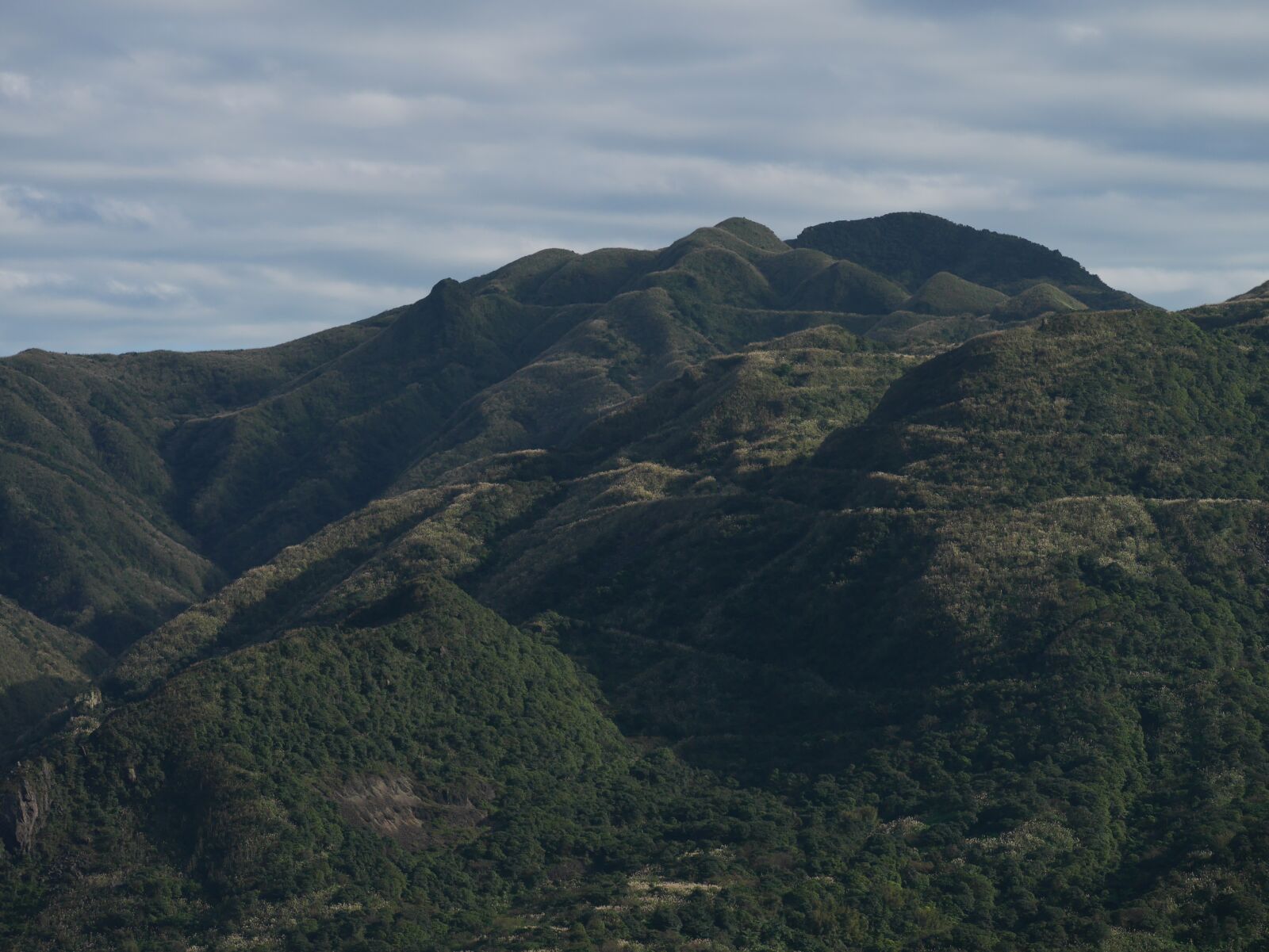 Panasonic Lumix DMC-GX7 sample photo. Mountain, vegetation, landscape photography