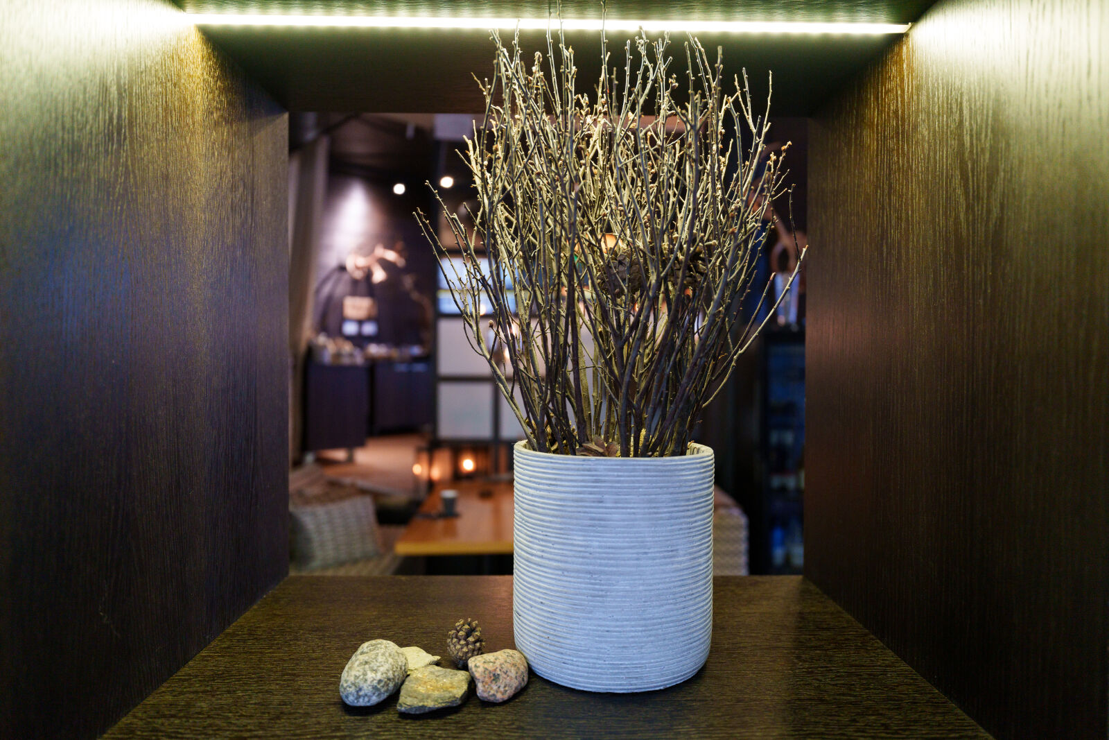 Sony a7R V sample photo. Hotel decoration photography