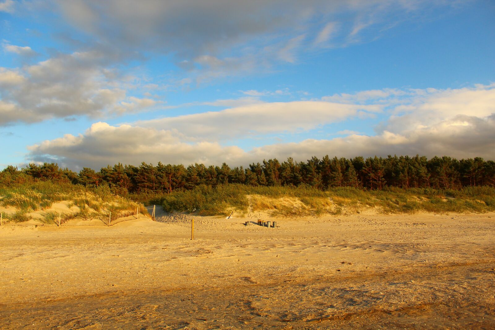 Canon EOS 4000D (EOS Rebel T100 / EOS 3000D) sample photo. View, the sand dunes photography