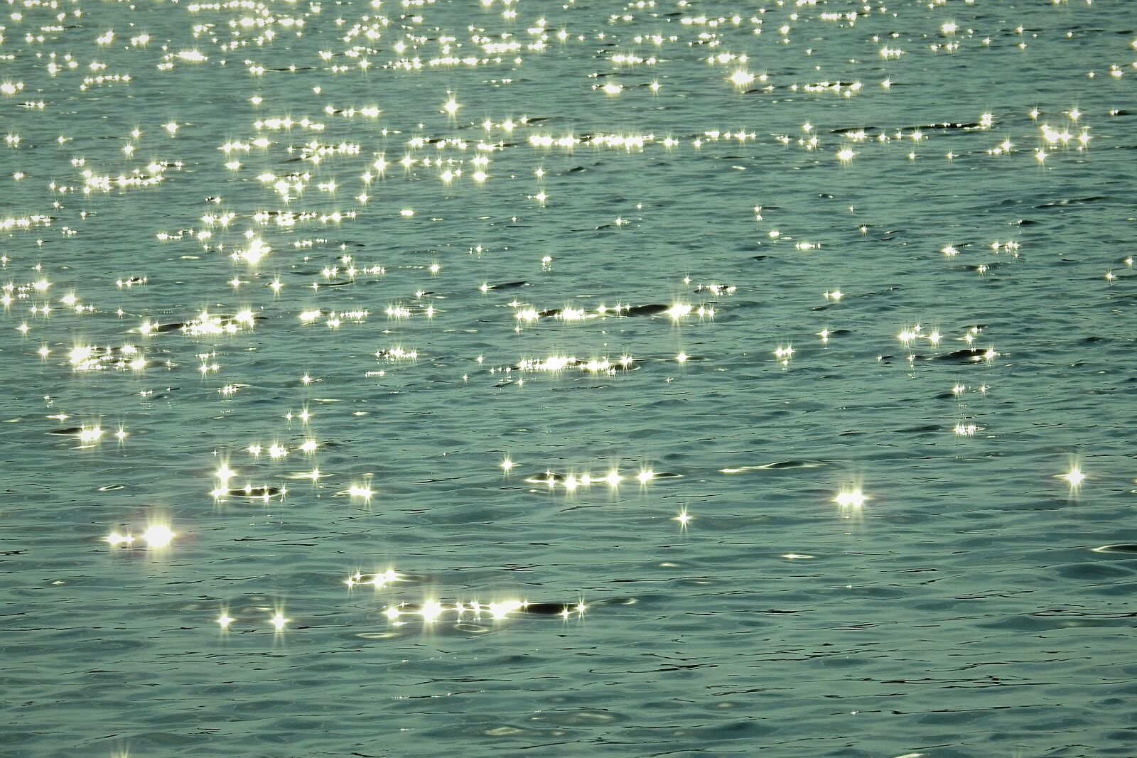 Nikon Coolpix P900 sample photo. Lake, the sun, reflection photography