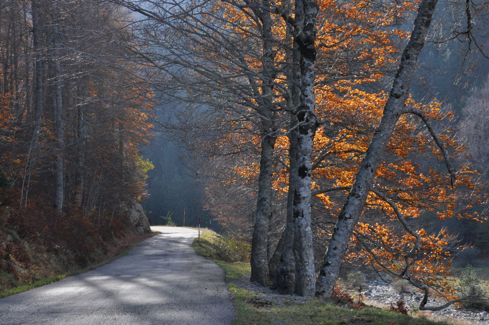 Nikon D90 sample photo. Road, small mountain, fall photography