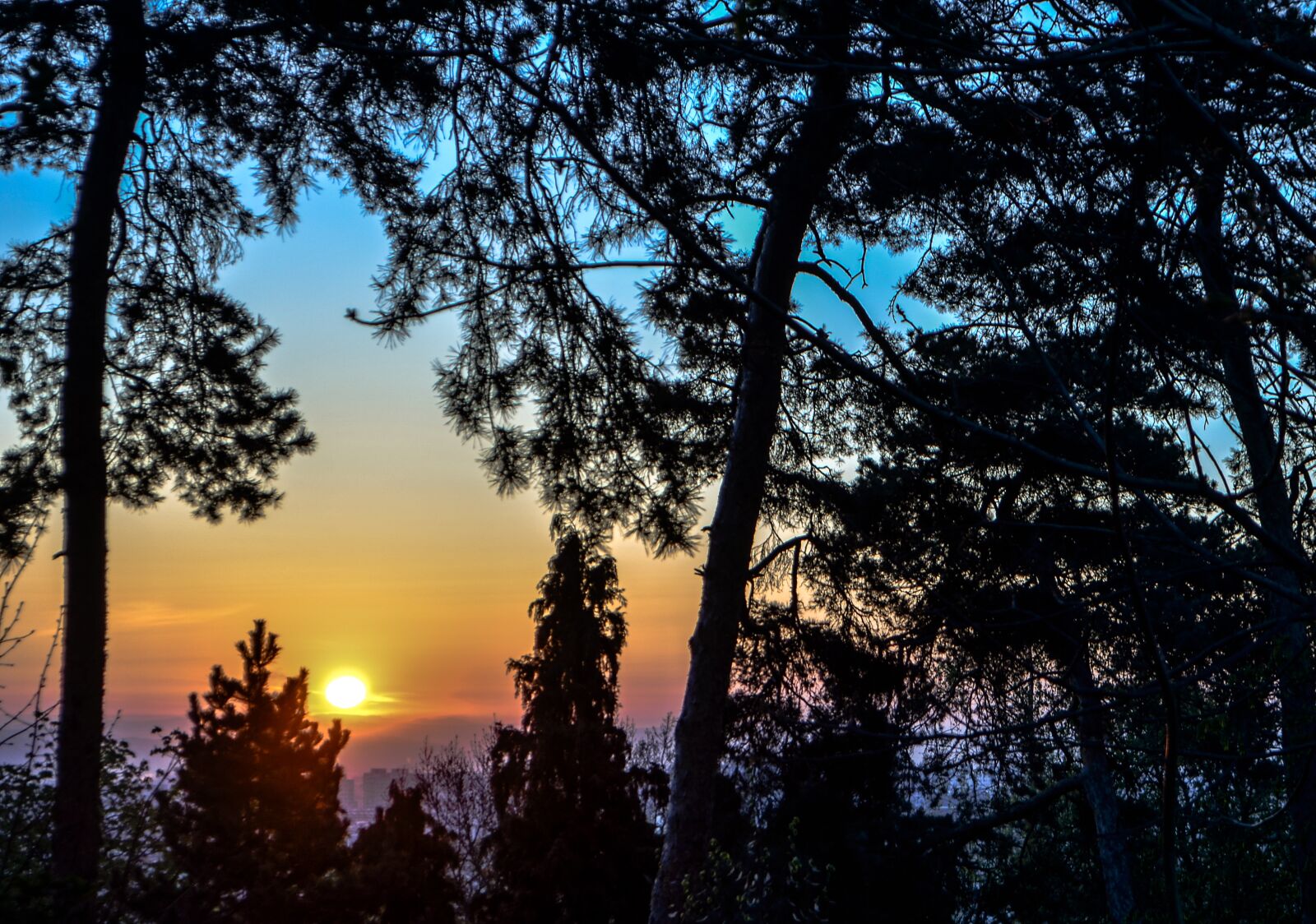 Nikon D7000 sample photo. Sunrise, shadows, trees photography