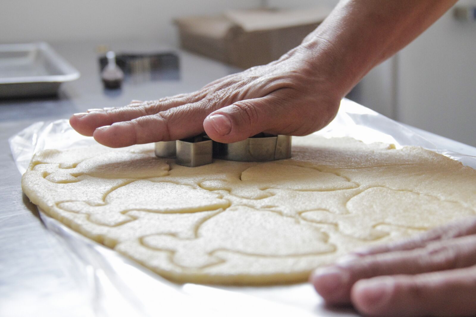 Canon EOS 550D (EOS Rebel T2i / EOS Kiss X4) sample photo. Cutter, cookie, mass photography