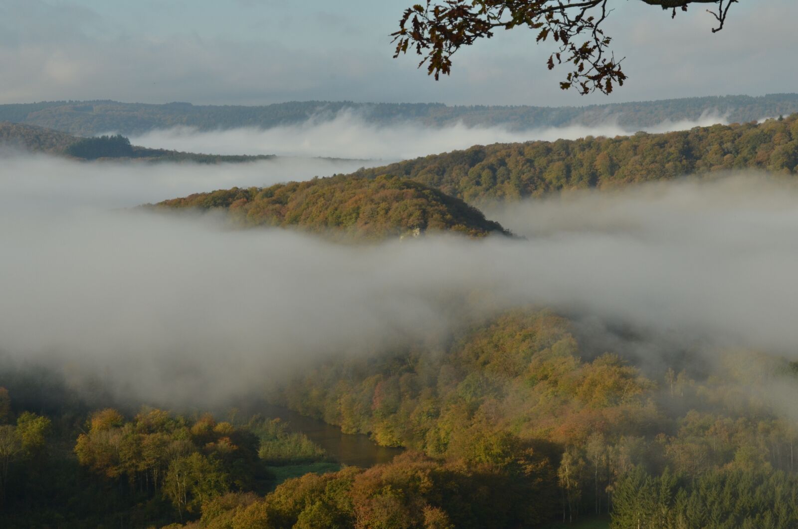 Nikon D7000 sample photo. Belgium, ardennes, landscape photography