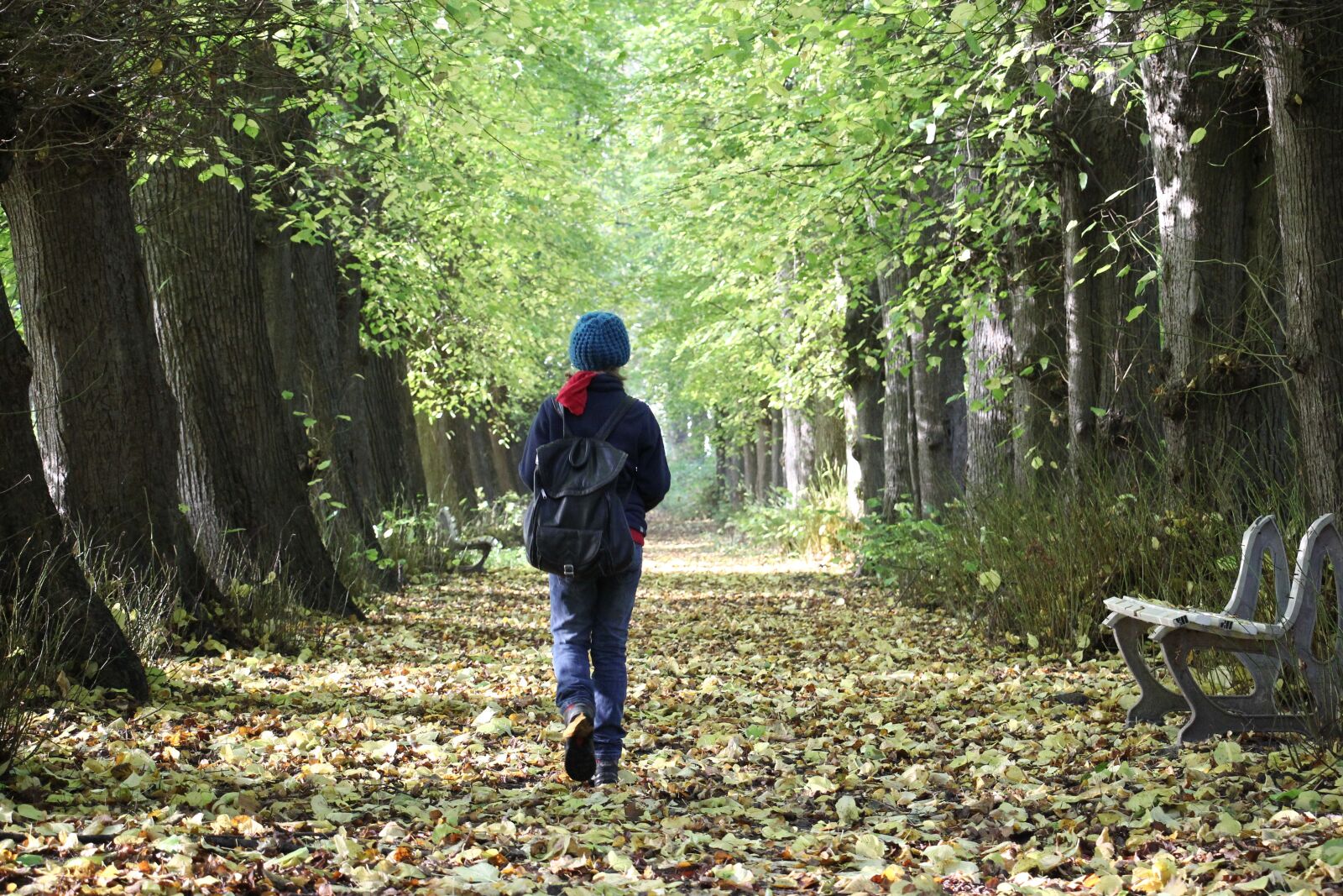 Canon EOS 60D sample photo. Avenue, child, hiking photography