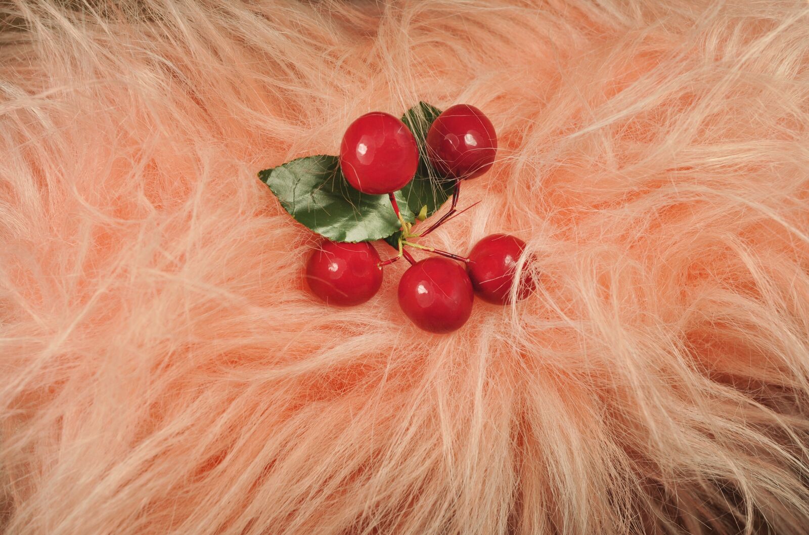 Nikon D90 sample photo. Muff, warm, hand photography