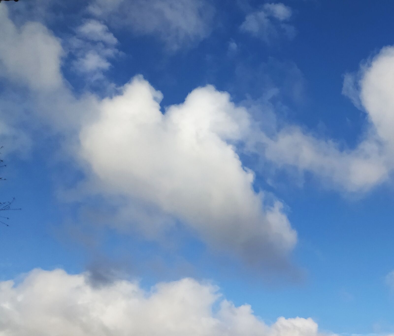Xiaomi Redmi Note 8T sample photo. Sky, blue, spring photography