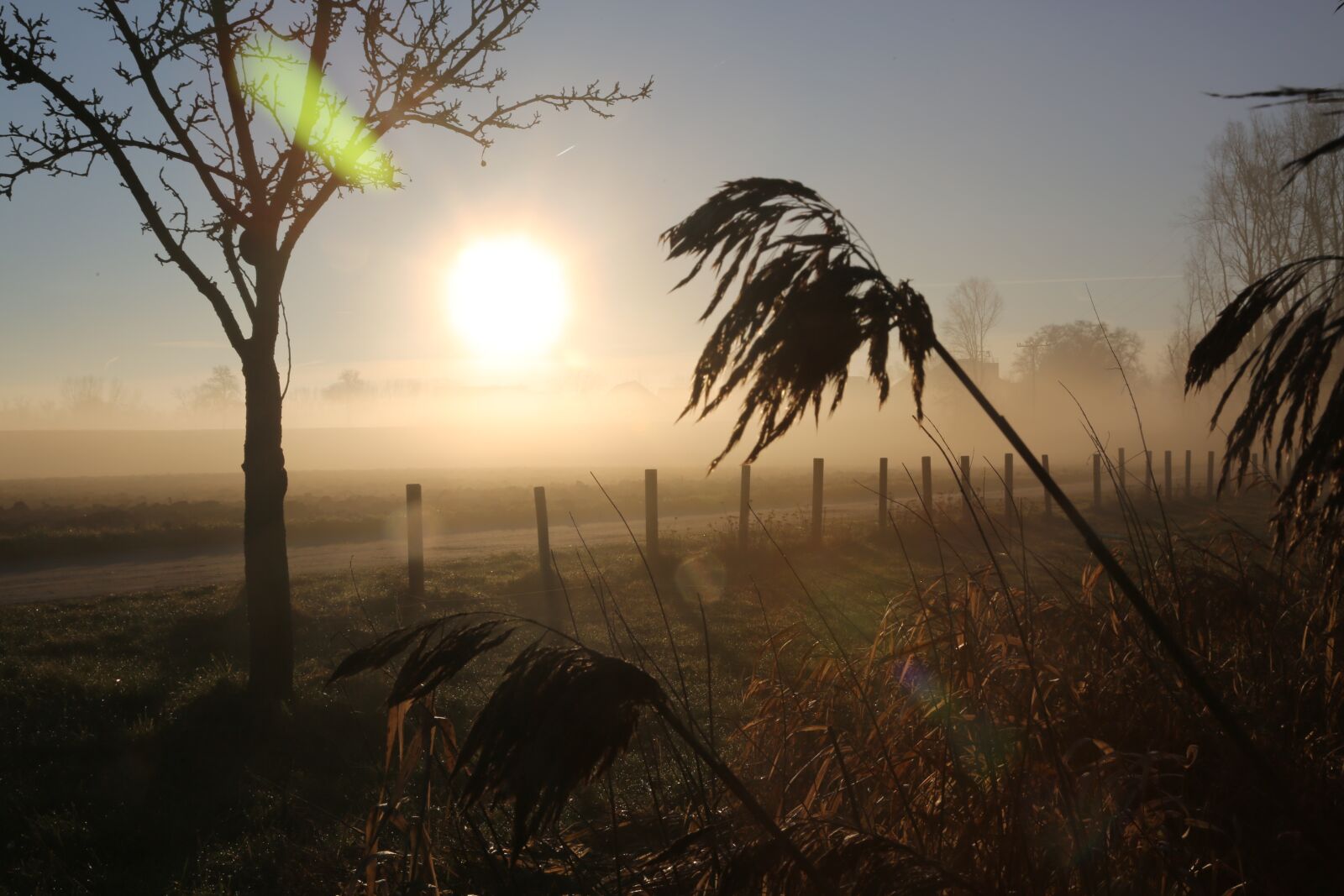 Canon EF 24-105mm F4L IS USM sample photo. Morning, light, mood photography