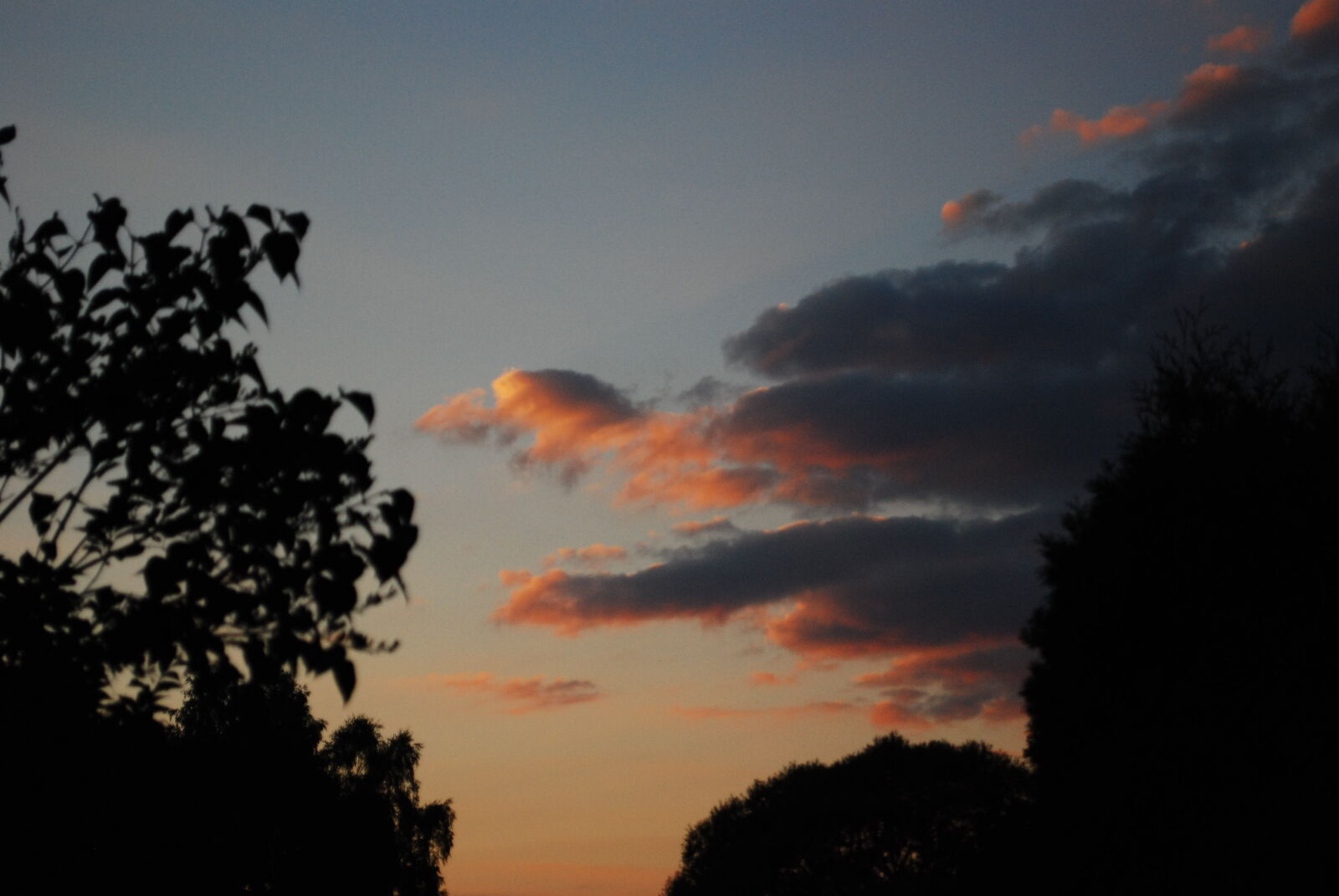 Nikon D80 sample photo
