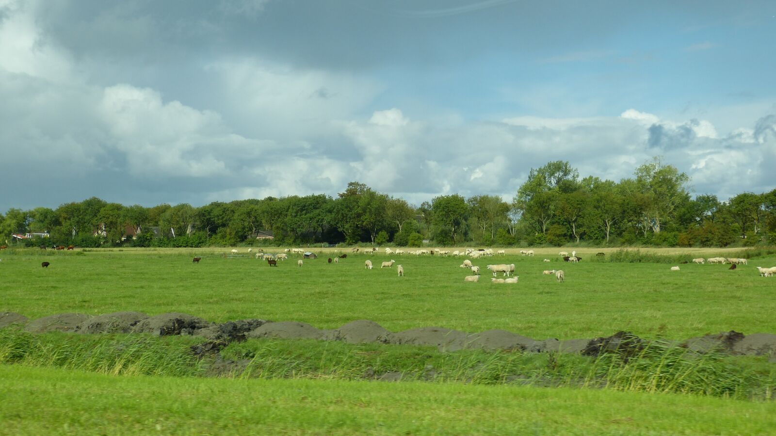 Panasonic Lumix DMC-FZ150 sample photo. Agriculture, passed, rural photography