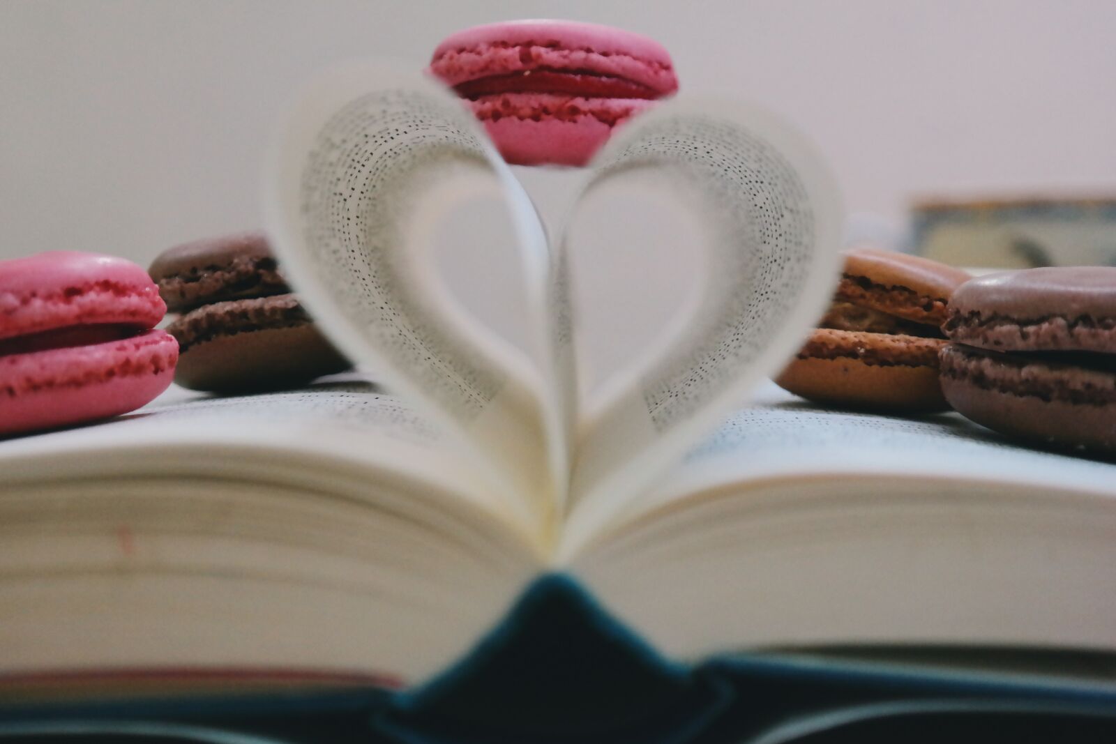 Samsung NX300 sample photo. Book, read, study photography