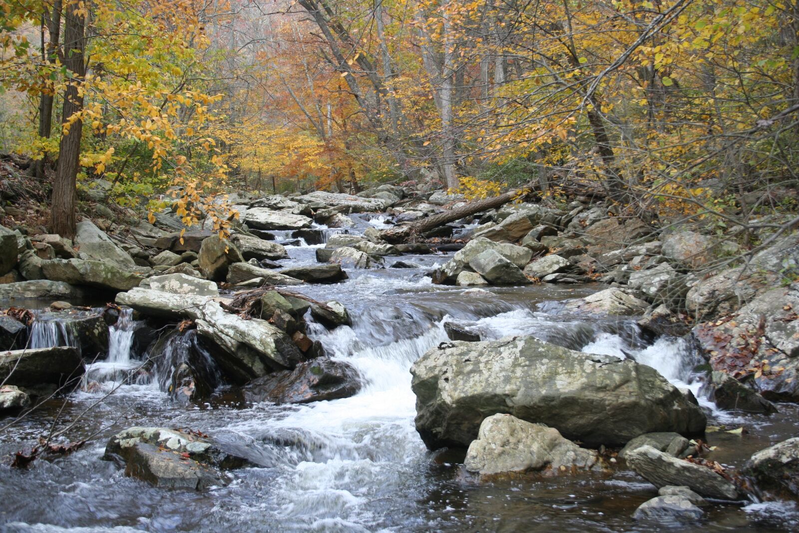 Canon EOS 350D (EOS Digital Rebel XT / EOS Kiss Digital N) sample photo. Catoctin park, river, forest photography