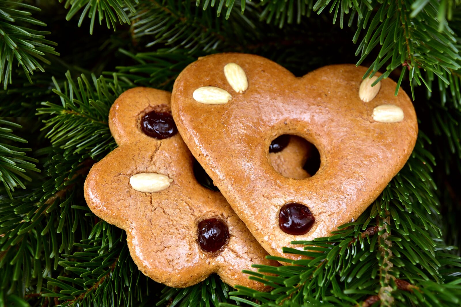 Nikon D750 sample photo. Gingerbread, christmas decorations, decorative photography