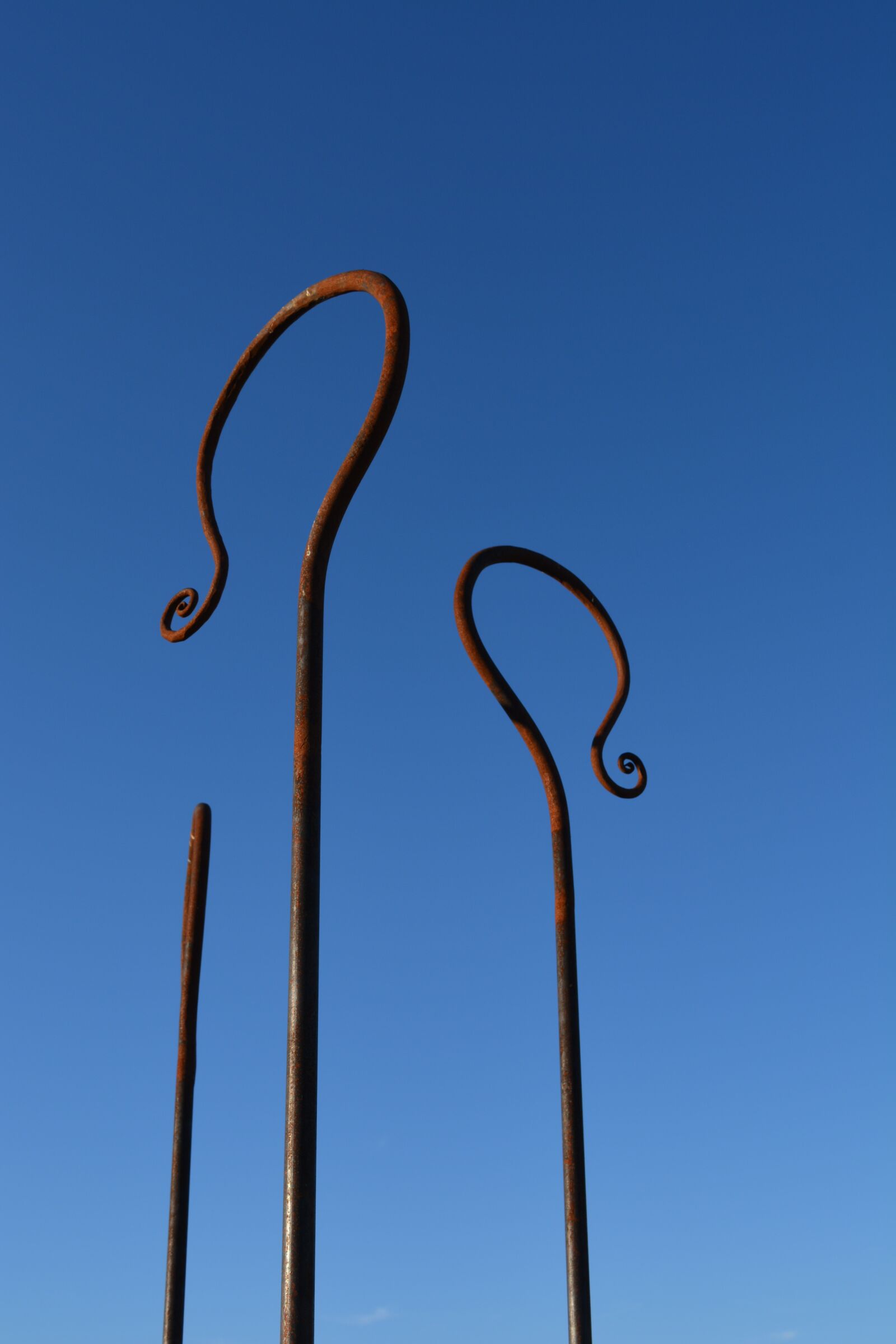 Nikon D5200 sample photo. Shepherd's staff, art, bishop photography