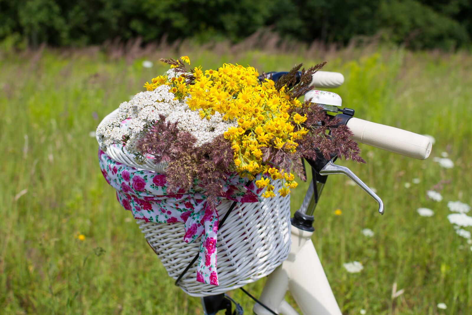 Полевые цветы и велосипед