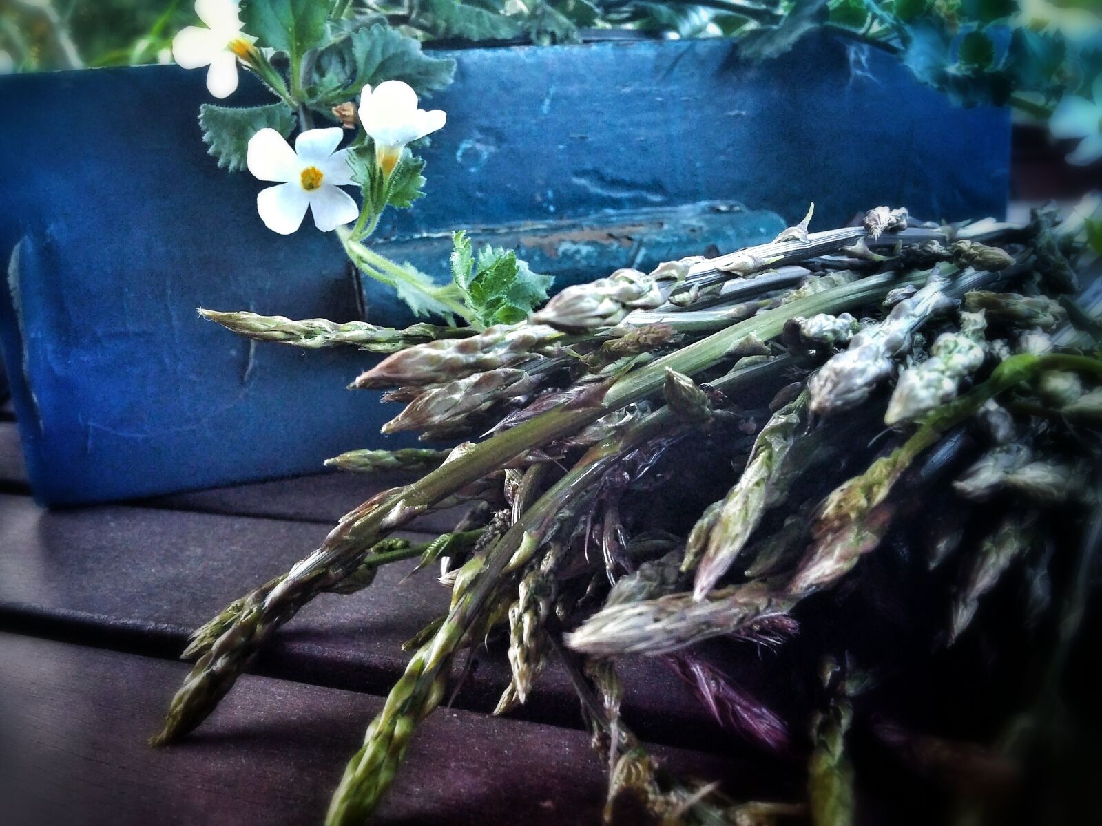 LG G FLEX2 sample photo. Asparagus, proljece, sparoge, spring photography