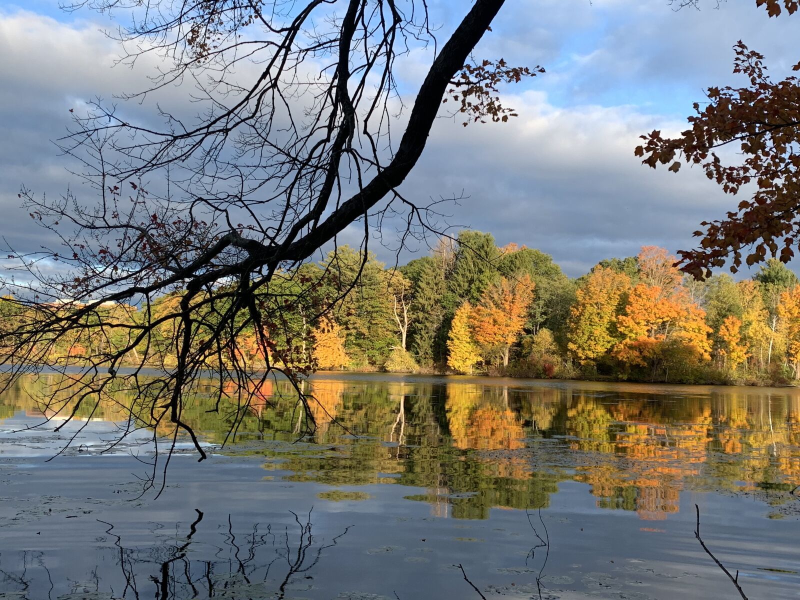 Apple iPhone XR sample photo. Fall, trees, river photography