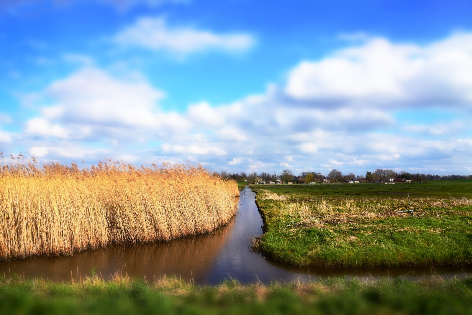 Nikon D750 sample photo. Dutch landscape, north holland photography