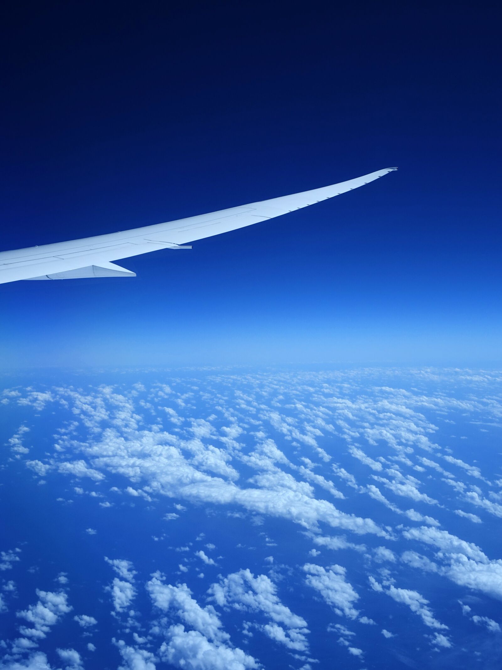 Sony Cyber-shot DSC-RX10 sample photo. Airplane, wing, blue sky photography