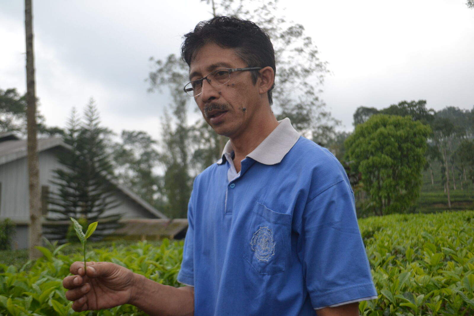 Nikon D3100 sample photo