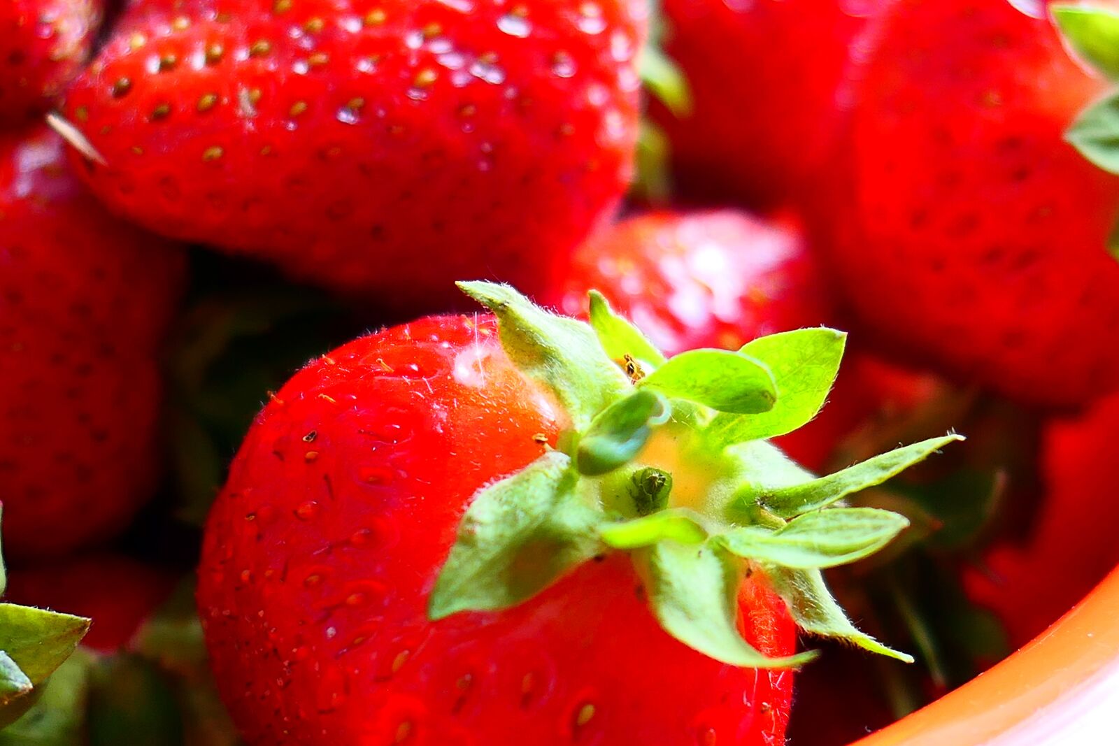 Panasonic Lumix DMC-LX10 (Lumix DMC-LX15) sample photo. Strawberry, fruit, fruits photography