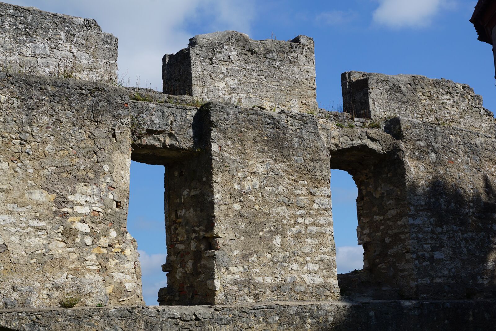 Sony DT 16-50mm F2.8 SSM sample photo. Castle, ruin, tuttlingen photography
